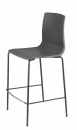 HR-CBS-ALICE 2576 rama malowana h.65 Hoker 2