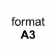 format A3