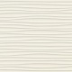 Seagrass Light 0137