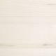 Tilia Tree 0220