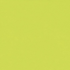 BL-TP-LIME 0408 Blaty CLASSIC