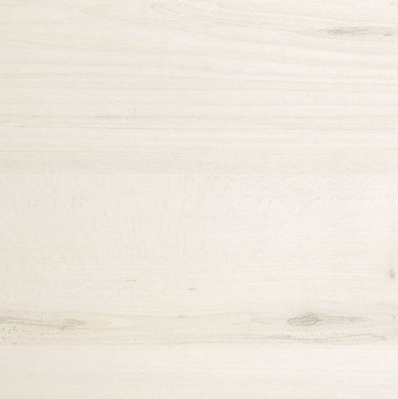 BL-TP-TILIA TREE 0220 Blaty SMARTLINE